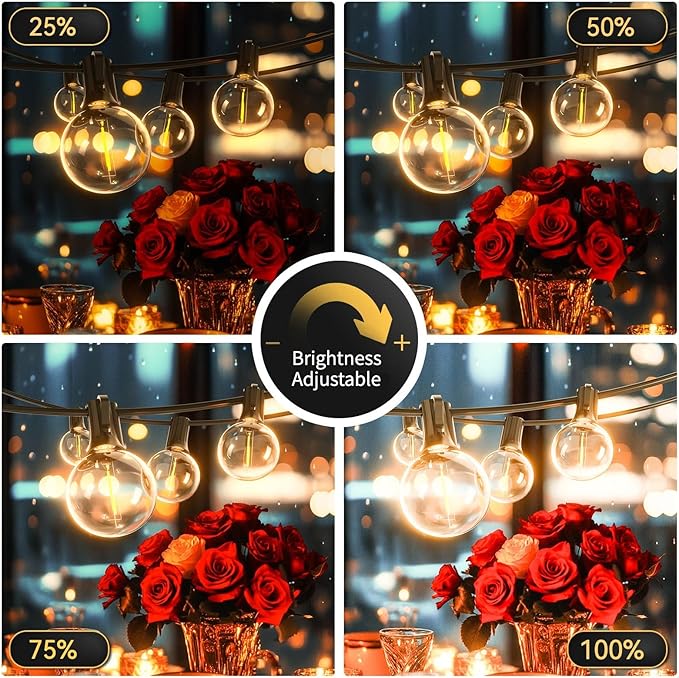 G40 Solar String Lights Outdoor with Remote 60 FT, USB & Solar Dual Charging, Waterproof, 8 Modes 3 Timers, 20+2 LED Shatterproof Bulbs, Dimmable Solar Light for Camping Backyard Bistro Porch Garden