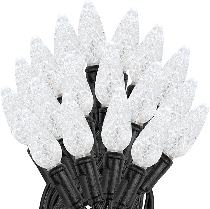 Novelty Lights 24FT 70 LED C6 Permanent Christmas Lights, Commercial Grade LED String Lights (Pure White)