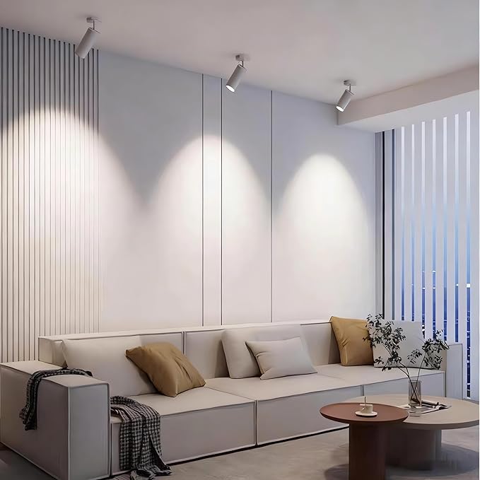 Dimmable Zoomable Spotlight for Ceiling & Wall, Adjustable Beam 10°-55°, Warm White 3000K, CRI 97 Flicker-Free LED Light for Art, Plants, Home Office