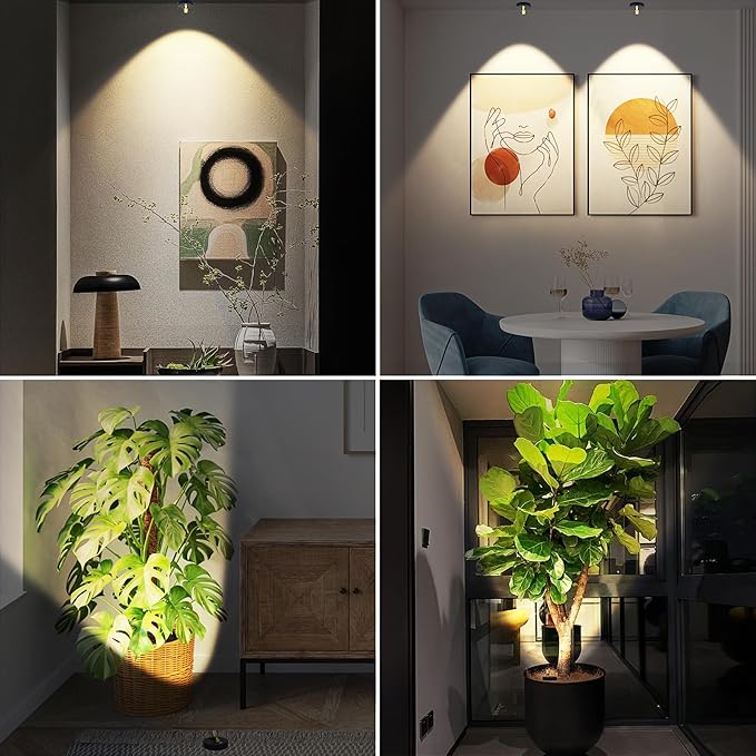 Rechargeable Wireless Battery Spotlight Indoor for Plant Trees at Home Remote Control with 3 Colors Lighitng Mini Dimmable Uplight Led Accent Wall Spot for Pictue Painting Light with Timer-off