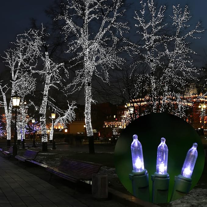 LAMPHOME 21.6ft 100 LED White Christmas Lights Indoor Outdoor, Connectable String Lights Outdoor Green Wire Plug in for Bedroom House Fireplace Christmas Tree Decoration