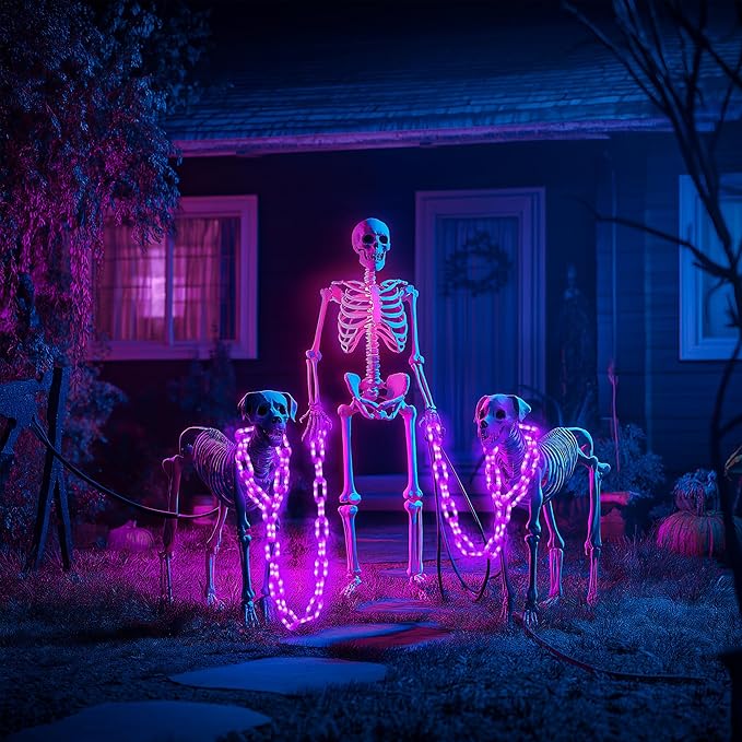 Joomer Battery Operated Halloween Lights Outdoor, 9.5 FT 160 LED Waterproof Halloween Decorative Plastic Chain String Lights, 8 Lighting Modes and Timer Function, Suitable for Outdoor Indoor (Purple)