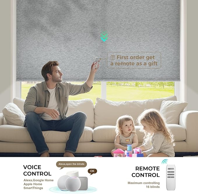 HeyBlinds Motorized Roller Shades, Smart Blinds for Windows, Remote Automatic Window Shades, Electric Shades, Light Filtering, Compatible with Alexa Google Apple Home (Silver Lining-Misty Grey LF)