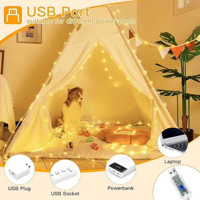 Ollny USB Rope Lights Indoor Color Changing, 33FT 100 LED String Lights with Remote, 18 Colors Christmas Light for Indoor Bedroom Party Wedding Holiday Decorations