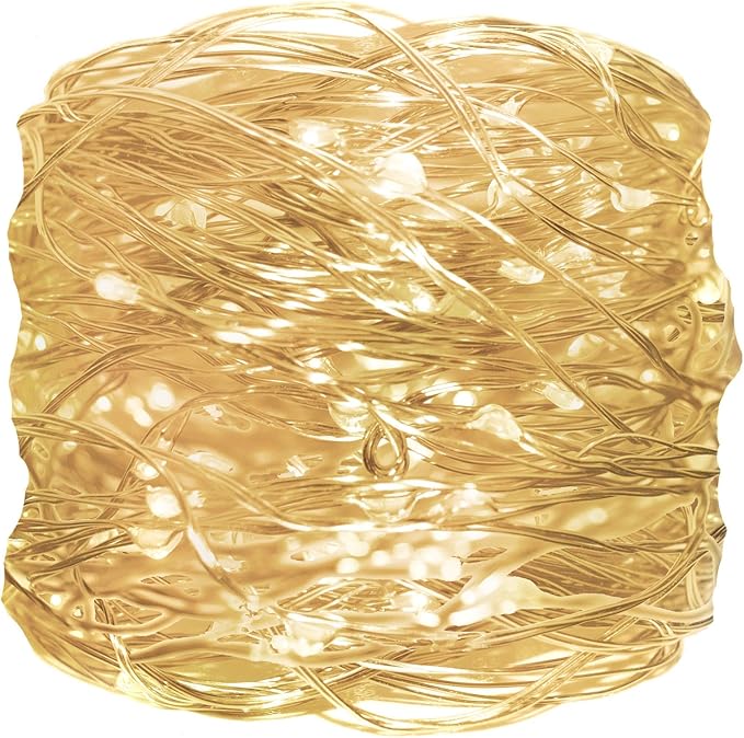 Hometown Evolution, Inc. Warm White Battery Operated Fairy Lights - 33 Foot 100 Warm White LED Fairy Lights on Silver Wire - Waterproof for Indoor and Outdoor Use