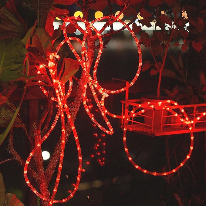 Waterproof LED Rope Lights, Connectable & Flexible with 8 Modes, Outdoor Lighting for Deck, Garden, Pool, Patio & Christmas Decor (Red, 100ft)