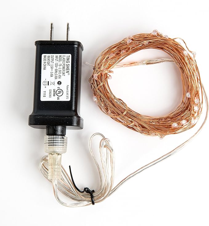 Hometown Evolution, Inc. Warm White LED Fairy Lights - Plug in - 33 Foot 100 LED Micro Lights on Copper Wire - Waterproof for Indoor and Outdoor Use