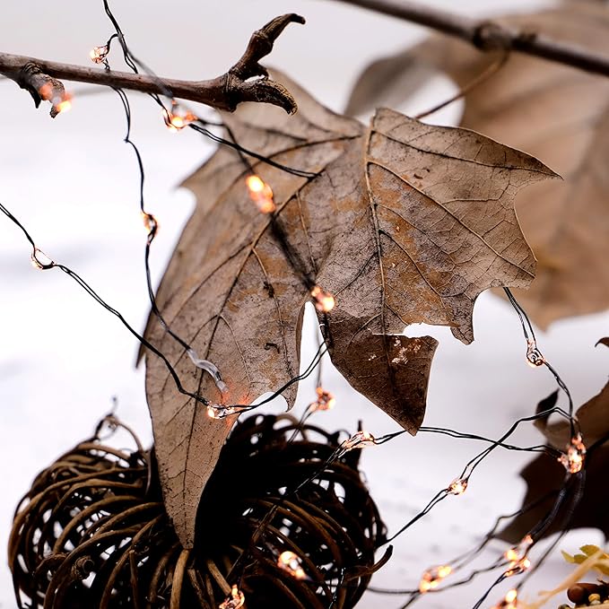 Nature Rattan Pumpkin String Lights Fall Garland with Lights Battery Operated with Remote - Perfect Thanksgiving Halloween Fall Decorations (Orange Fairy)