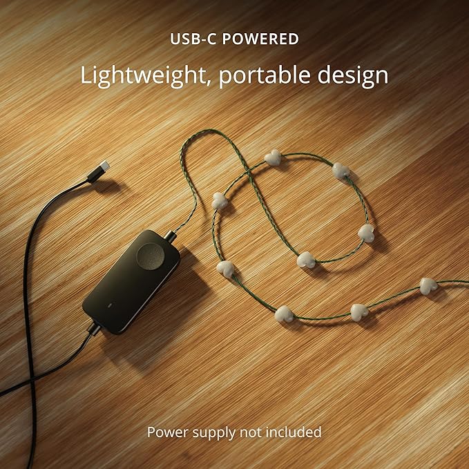 Twinkly Strings USB-C Heart 200 LED, Heart-Shaped LED Light String, RGB Multicolor LED Lights, Valentine's Day Lights, Compatible with Alexa, Google Home, USB-C Power, Green Wire, 39.4ft