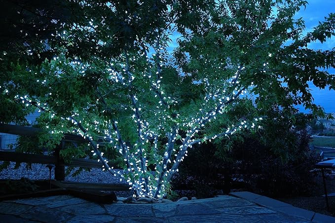 Novelty Lights 24FT 70 LED C6 Permanent Christmas Lights, Commercial Grade LED String Lights (Pure White)