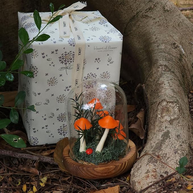 Mushroom Lamp, Decor LED Light in Glass Dome with Base for Home Bedroom Decor Birthday with Birthday Valentines Anniversaries Gifts Box (Orange)