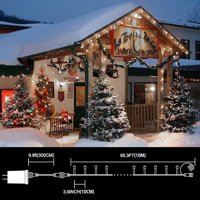 LAMPHOME 33ft Christmas Decorative Mini Lights, 100 LED Green Wire Fairy Starry String Lights Plug in, 11 Lighting Modes, for Indoor Outdoor Xmas Tree Wedding Party Decoration (White)