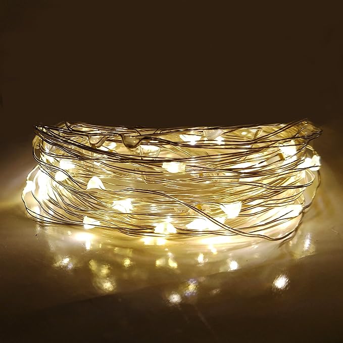 Hometown Evolution, Inc. Warm White Battery Operated Fairy Lights - 16.5 Foot 50 Warm White LED Fairy Lights on Copper Wire - Waterproof for Indoor and Outdoor Use