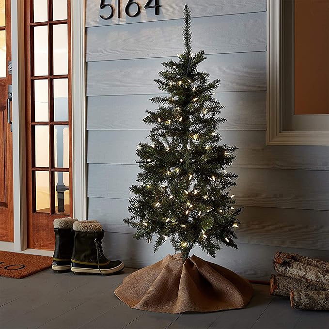 50 Christmas Mini Lights Set - 12.3 ft / 3.7 m - 120V - Clear Warm White Bulbs 2800K - Green Wire - Decor Lights for Patio Garden Wedding Holiday Christmas Tree - Indoor and Outdoor Decorative Use