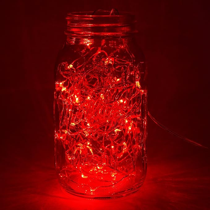 Hometown Evolution, Inc. Red Battery Operated Fairy Lights - 16.5 Foot 50 Red LED Fairy Lights on Copper Wire - Waterproof for Indoor and Outdoor Use
