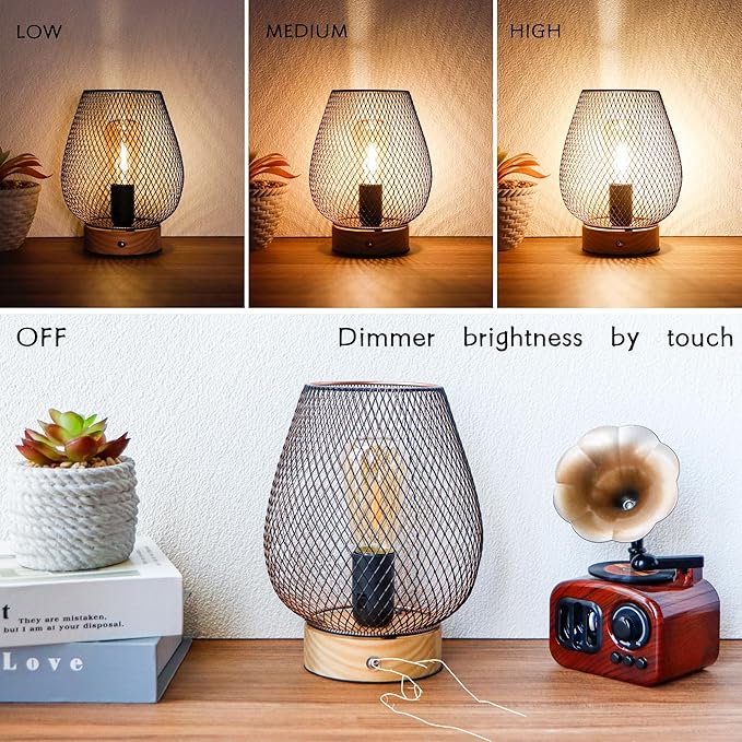 JHY DESIGN Dimmable Touch Bedside Table Lamp Metal Rechargeable Battery Powered Lamp with LED Bulb for Weddings Parties Patio Events for Indoors Outdoors(Bronze Egg, Wooden Base)
