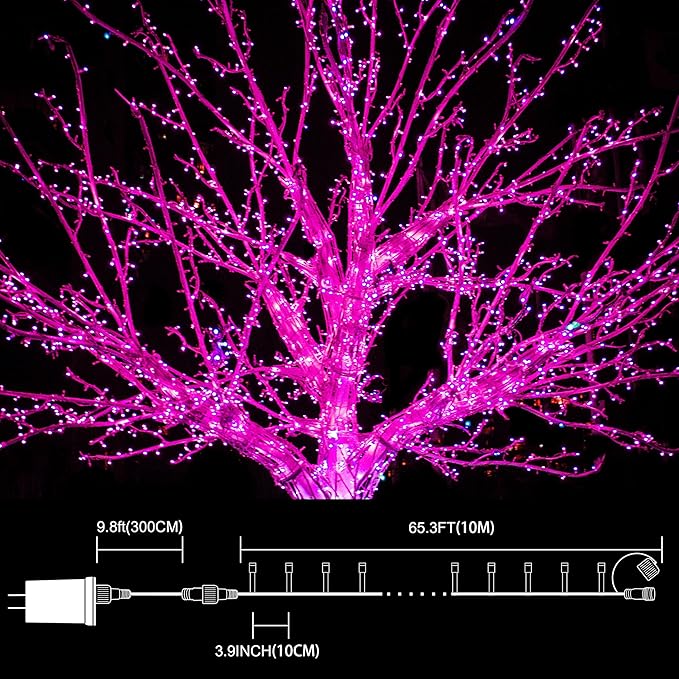 LAMPHOME 33ft Valentine Lights String, 100 LED Green Wire Pink Fairy Starry String Lights Plug in,11 Lighting Modes for Valentines Day Tree Decorations Wedding Party Decoration (Pink)