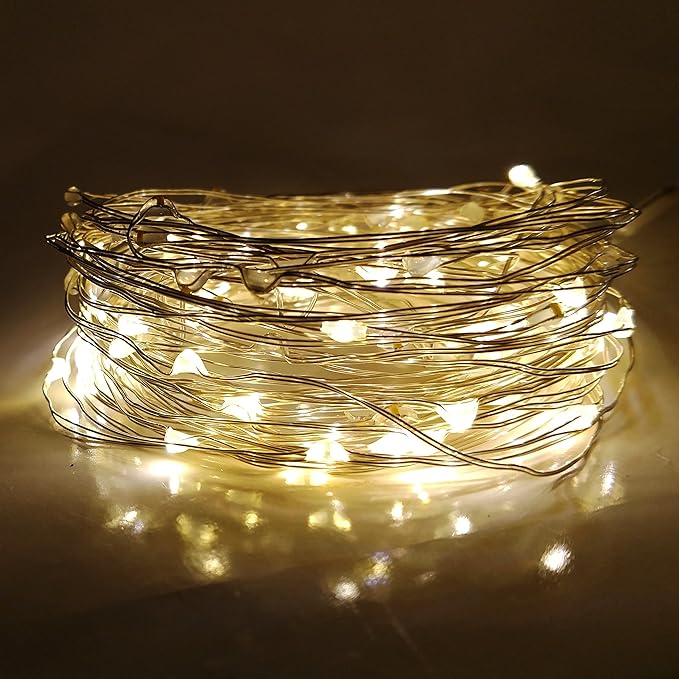 Hometown Evolution, Inc. Warm White Battery Operated Fairy Lights - 33 Foot 100 Warm White LED Fairy Lights on Silver Wire - Waterproof for Indoor and Outdoor Use