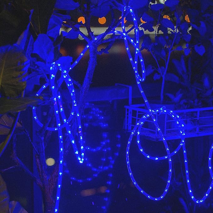 Waterproof LED Rope Lights, Connectable & Flexible with 8 Modes, Outdoor Lighting for Deck, Garden, Pool, Patio & Christmas Decor (Blue, 100ft)