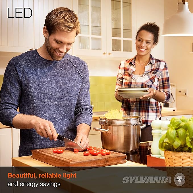 SYLVANIA ECO LED A19 Light Bulb, 60W Equivalent Efficient 9W, 7 Year, 750 Lumens, Medium Base, Frosted, 2700K, Soft White - 24 Count (Pack of 1)(40986)