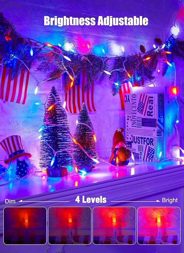 Red White Blue String Lights Plug in with Adapter,100 LED 33 Feet 4th of July Decoration Patriotic Mini Lights with Remote, Waterproof for Indoor Bedroom Wedding Party Holiday Independence Day