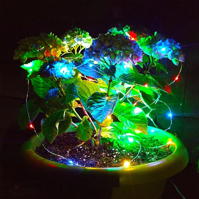 Hometown Evolution, Inc. Multi Colored Battery Operated Fairy Lights - 16.5 Foot 50 LED Fairy Lights on Silver Wire - Waterproof for Indoor and Outdoor Use