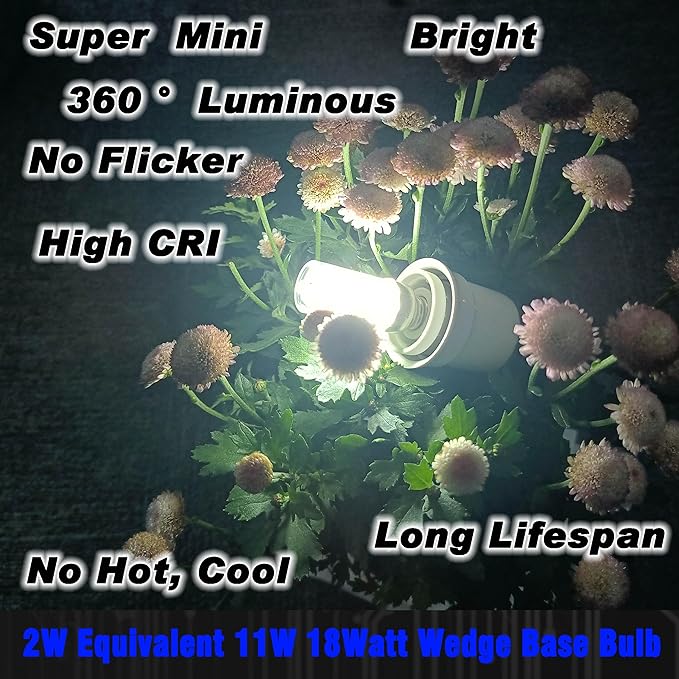 12V T5 T10 Wedge Base LED Bulbs 2 Watt Replace 11W 18W Incandecent Bulbs 300lm 6000K Daylight White 194 921 LED Bulb for RV Camper Marine Boat Ceiling Dome Landscape Stair Step Path Lights, 10 Pack
