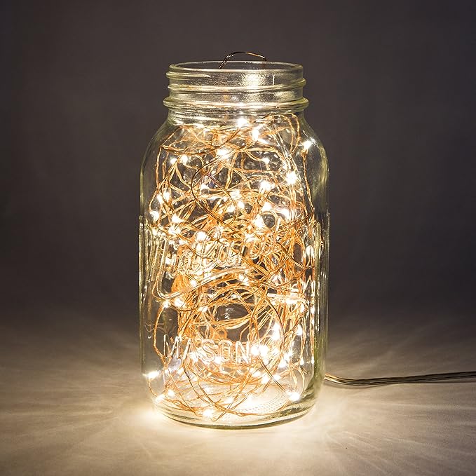 Hometown Evolution, Inc. Warm White Battery Operated Fairy Lights - 33 Foot 100 Warm White LED Fairy Lights on Silver Wire - Waterproof for Indoor and Outdoor Use