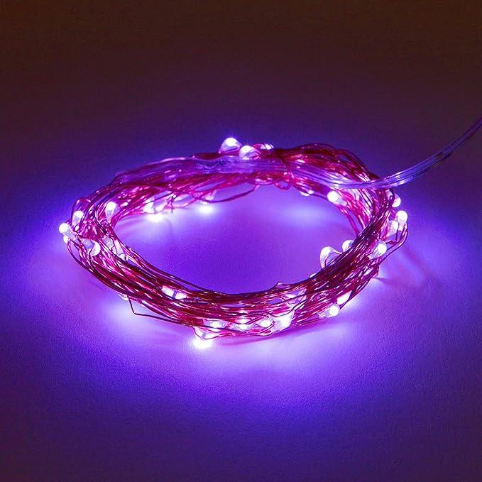 Hometown Evolution, Inc. Purple Battery Operated Fairy Lights - 16.5 Foot 50 Purple LED Fairy Lights on Copper Wire - Waterproof for Indoor and Outdoor Use
