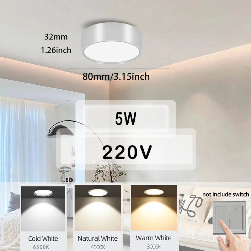 Waterproof Bathroom Light ceiling lamps Led Kitchen Ceiling Lights 30W 40W Led Ceiling Lamp For Living Room Balcony Toilet 220V